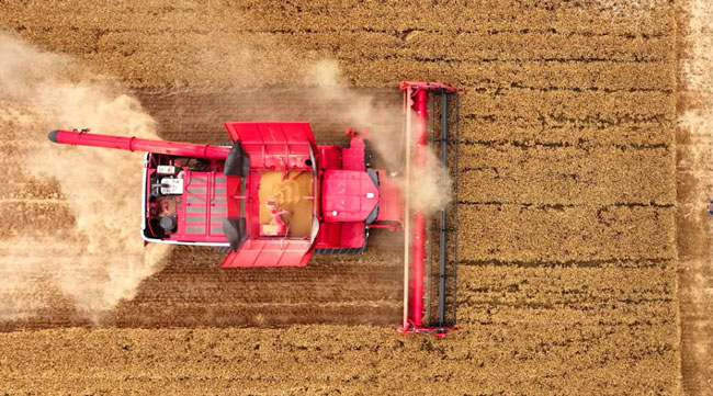 必赢亚洲·bwin(中国区)官方网站