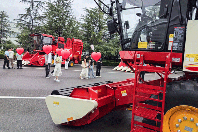 必赢亚洲·bwin(中国区)官方网站